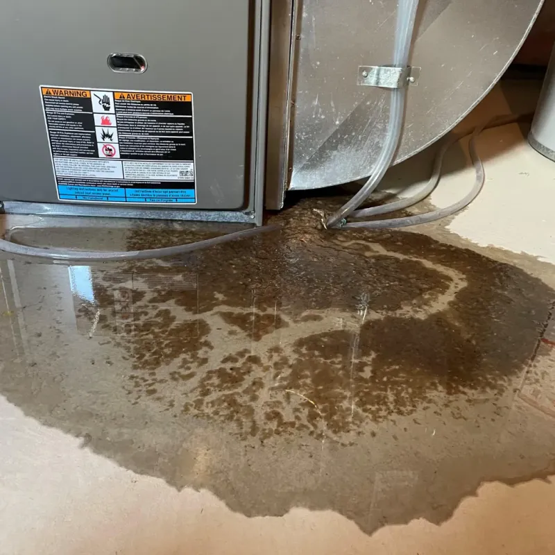 Appliance Leak Cleanup in Hendricks County, IN